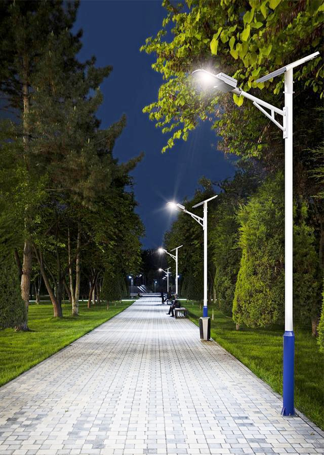 How do solar street lights adapt to the unique needs of polar regions?